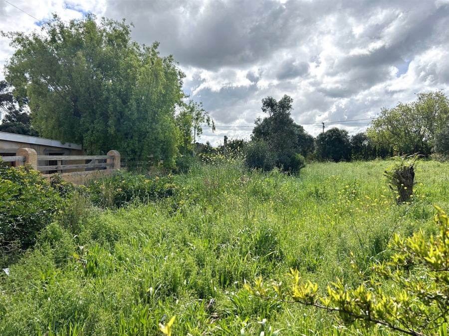 0 Bedroom Property for Sale in Napier Western Cape